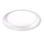 LED Plafonniere 12V / 5,5 W chroom of wit