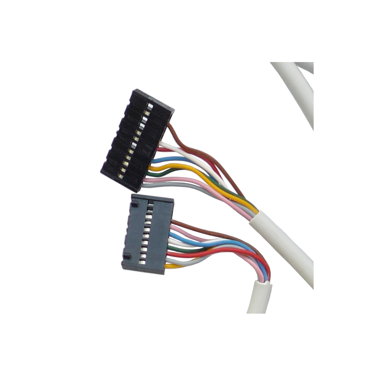 Aansluitkabel EBL / LT 4XX - 12 polig (5 m)